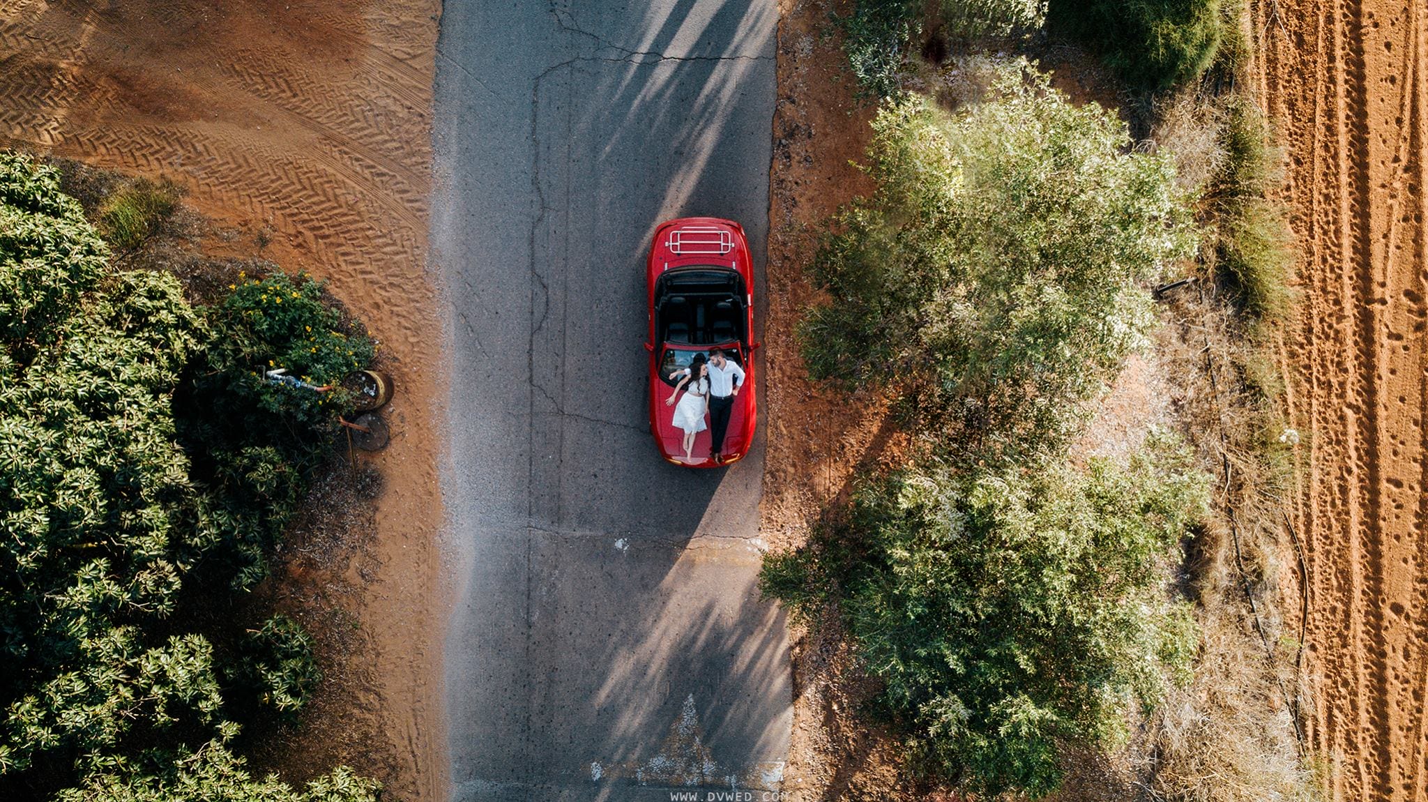 Belle תמונת קאבר