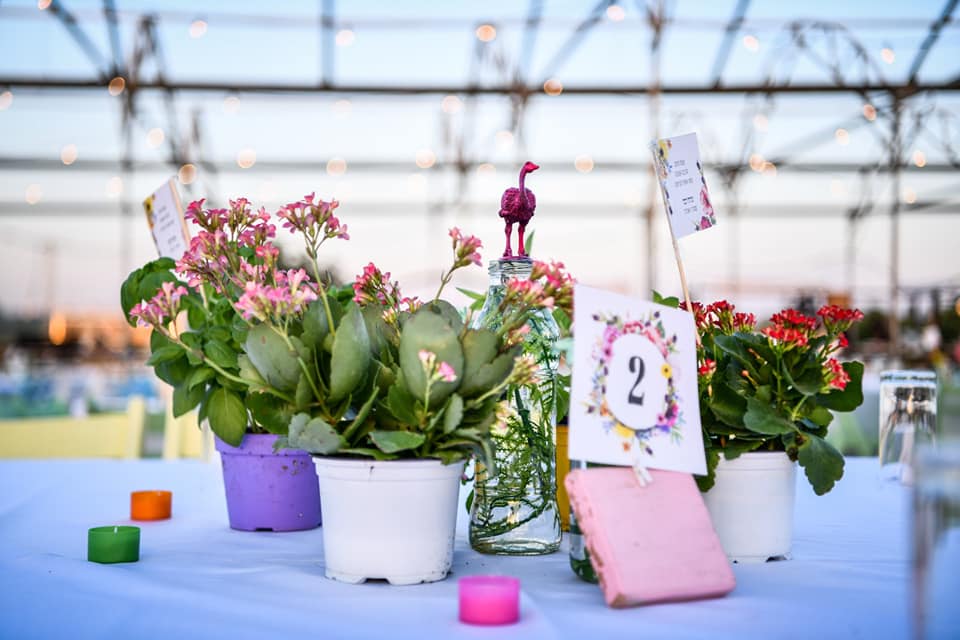 תזה הפקות תמונת קאבר